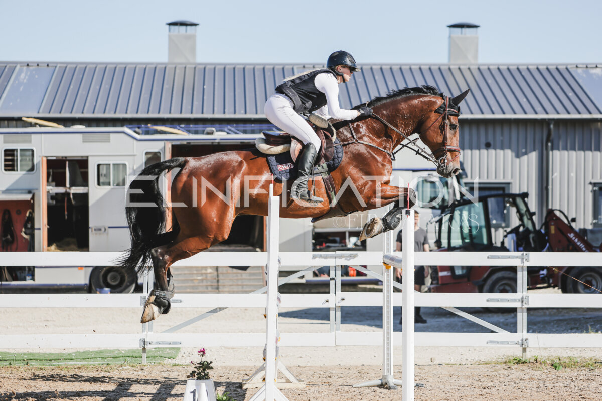 Gramina_Jaanipaev_2026_130_148