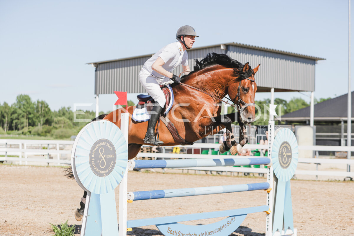 Gramina_Jaanipaev_2026_130_150