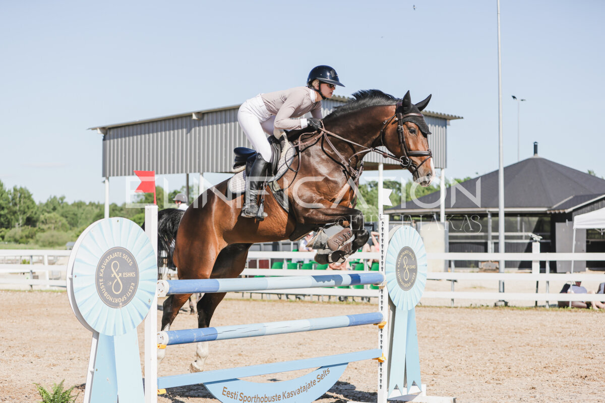 Gramina_Jaanipaev_2026_130_154