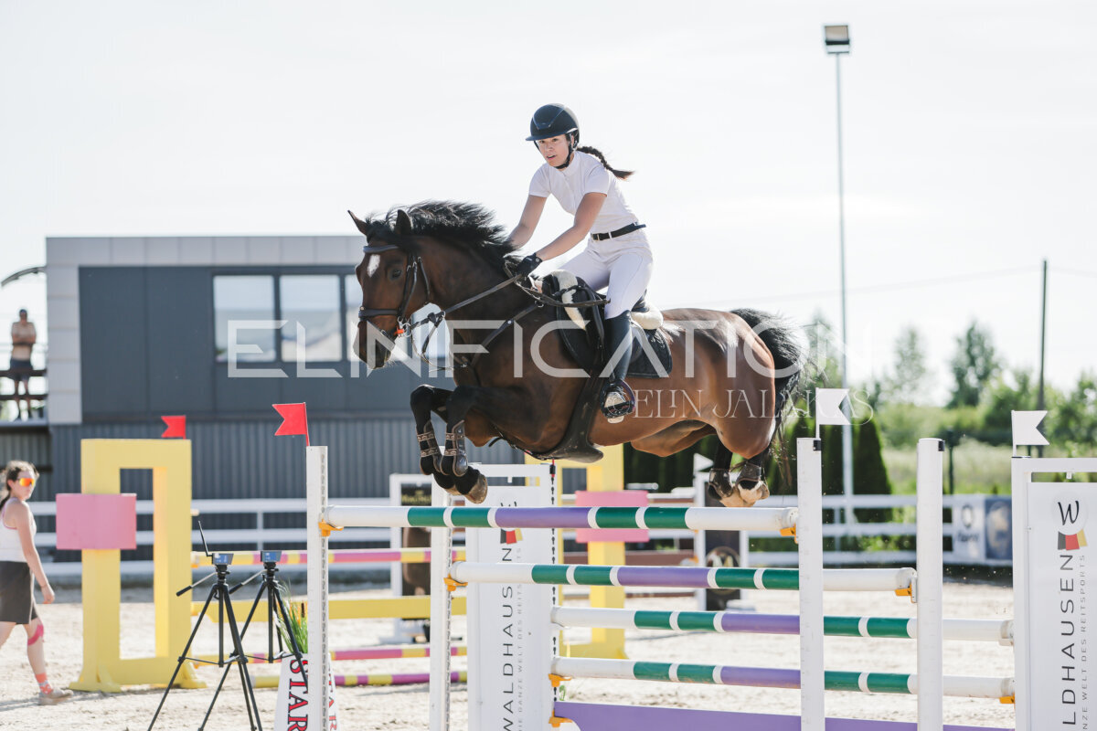 Gramina_Jaanipaev_2026_140_034