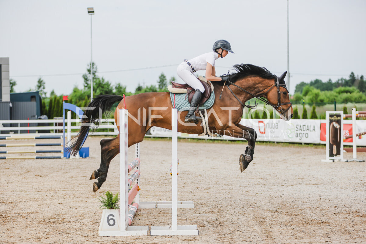 Gramina_Jaanipaev_2026_3p_hc80-90_052