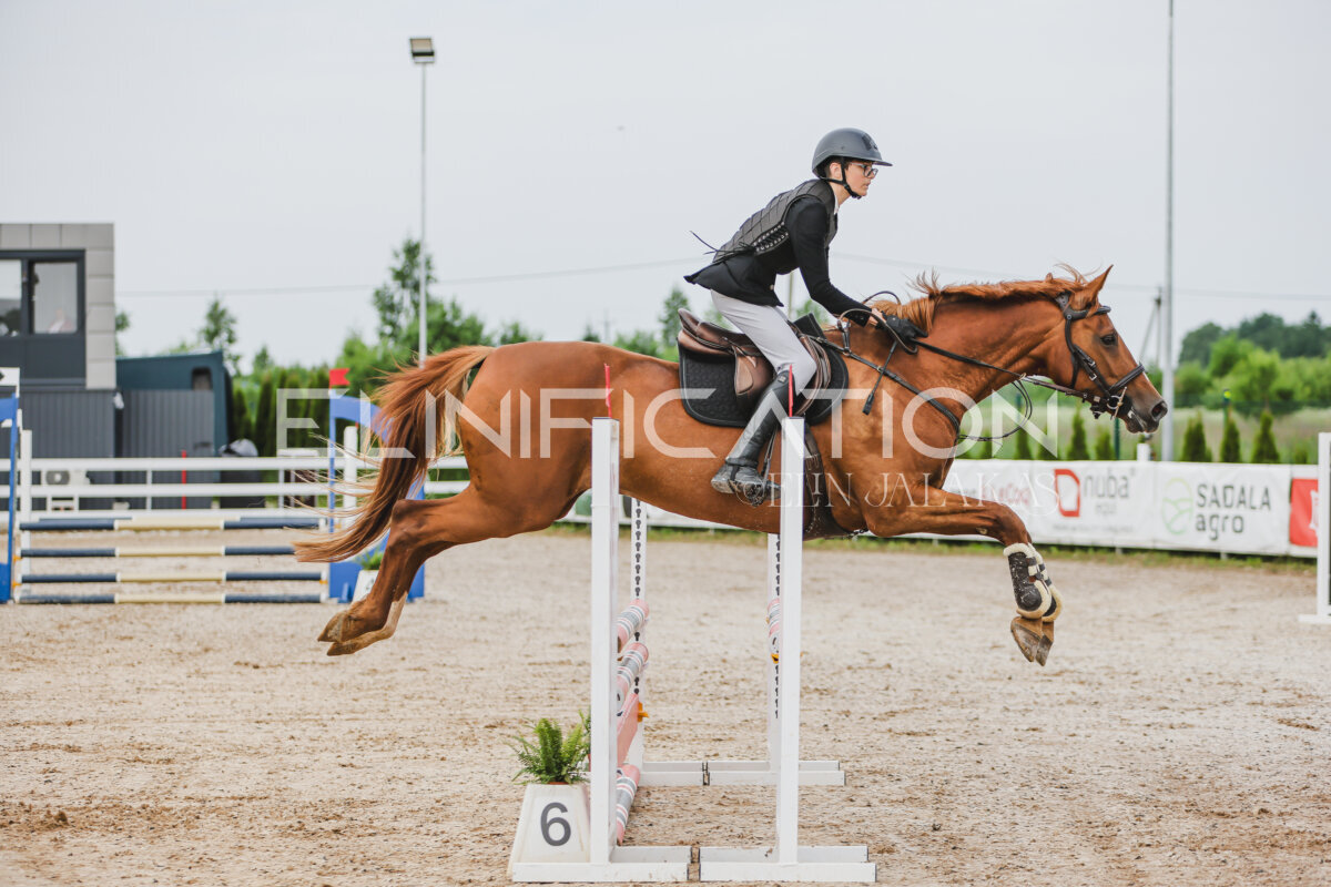 Gramina_Jaanipaev_2026_3p_hc80-90_069