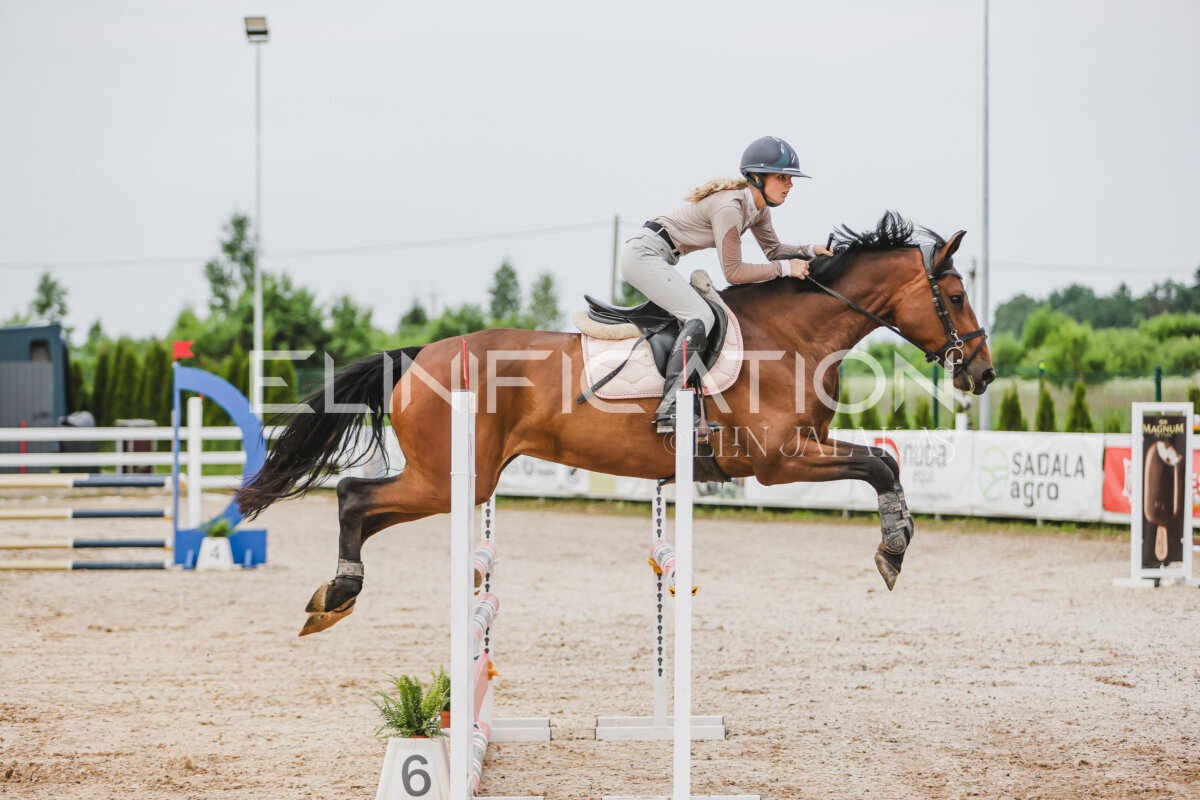 Gramina_Jaanipaev_2026_3p_hc80-90_080