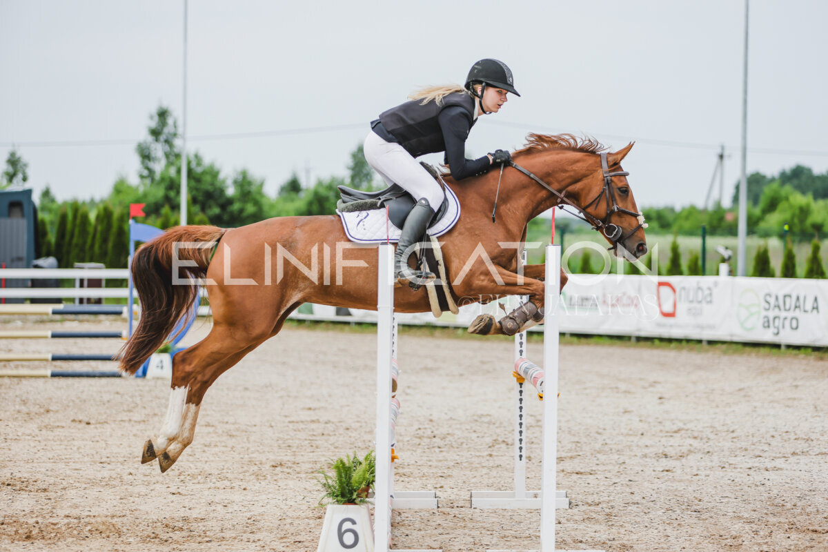 Gramina_Jaanipaev_2026_3p_hc80-90_085