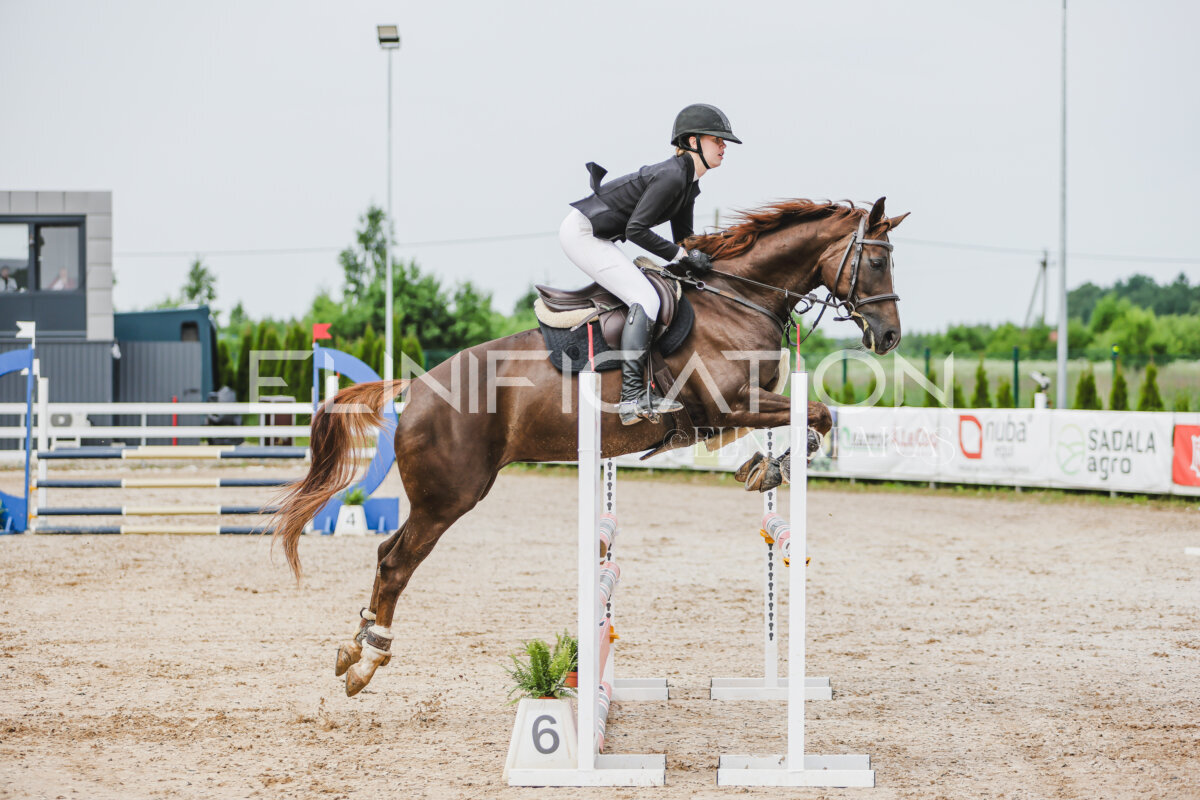 Gramina_Jaanipaev_2026_3p_hc80-90_108