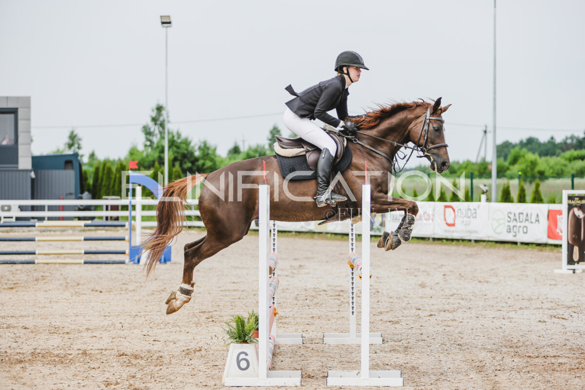 Gramina_Jaanipaev_2026_3p_hc80-90_109