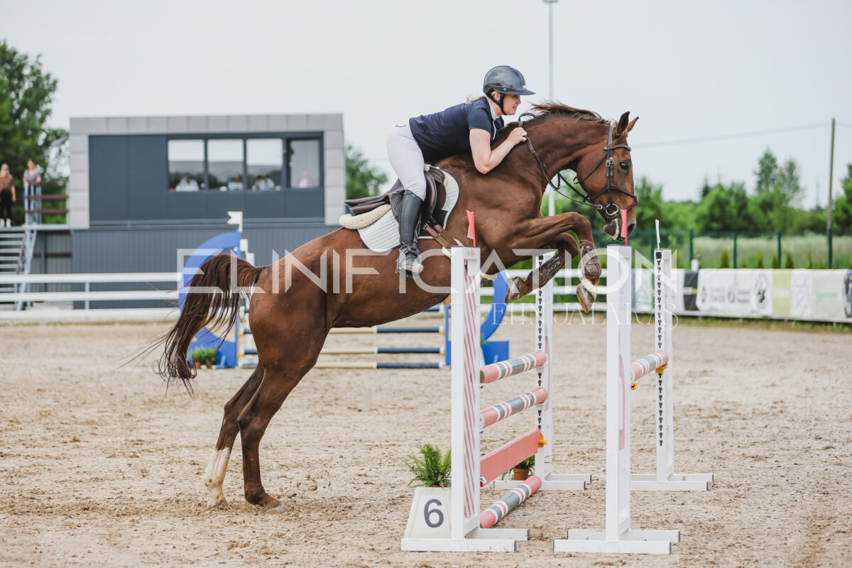 Gramina_Jaanipaev_2026_3p_hc80-90_125