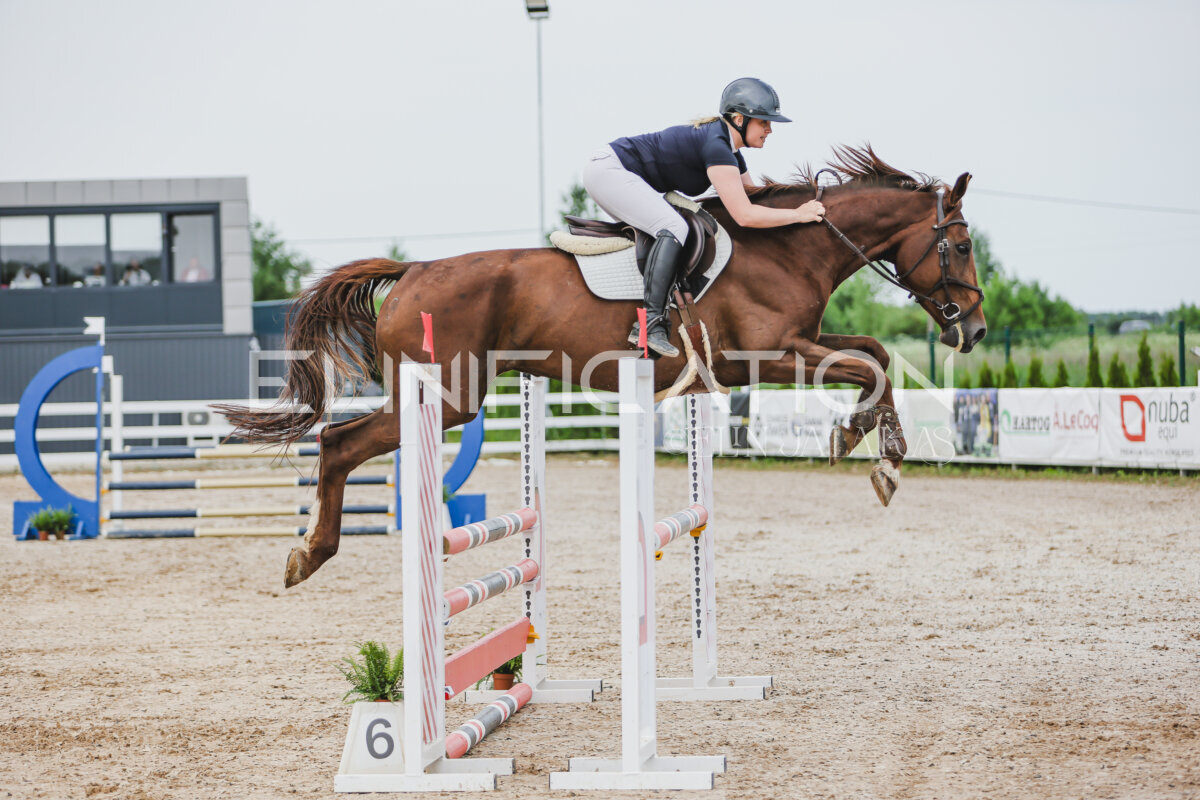 Gramina_Jaanipaev_2026_3p_hc80-90_127