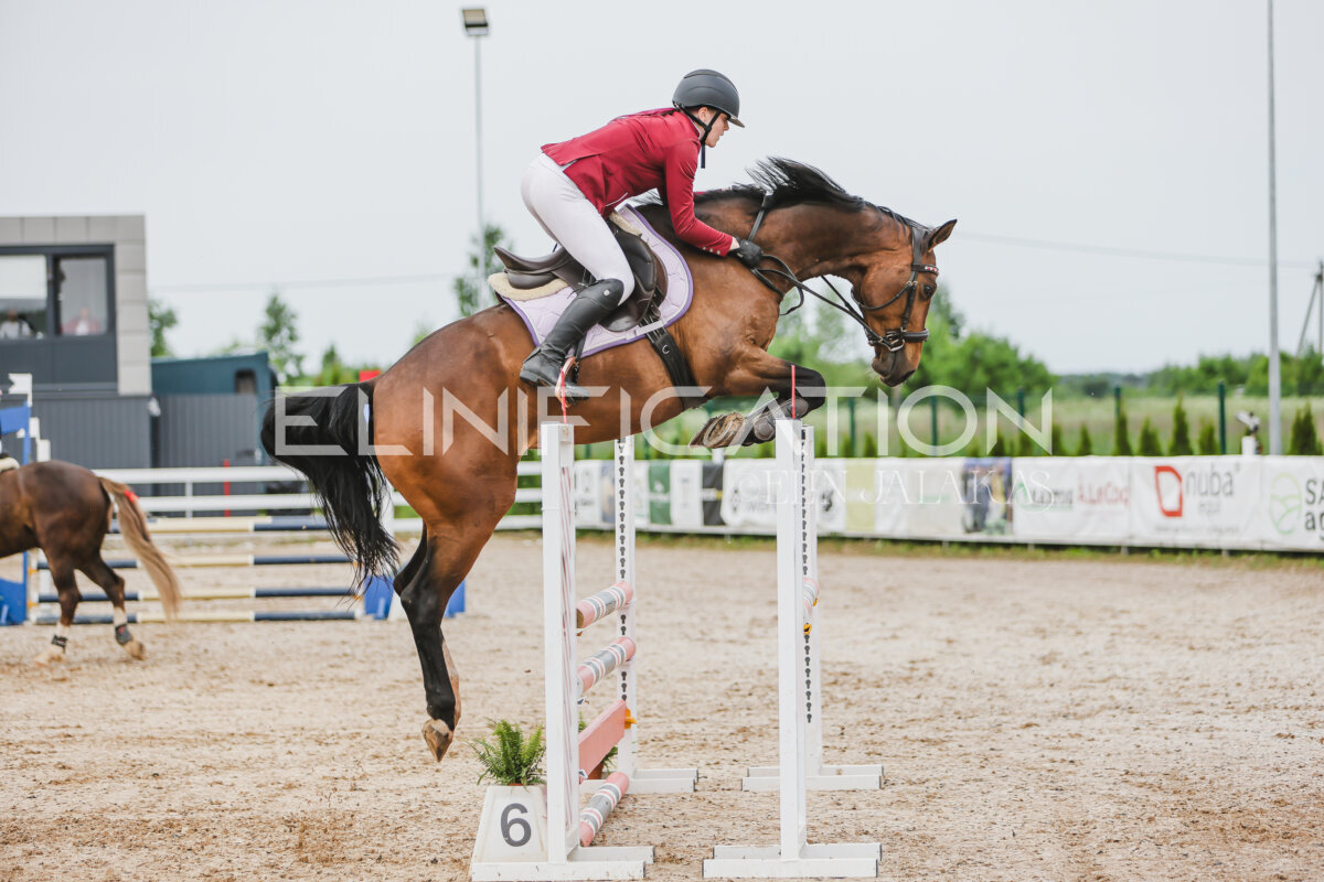 Gramina_Jaanipaev_2026_3p_hc80-90_166