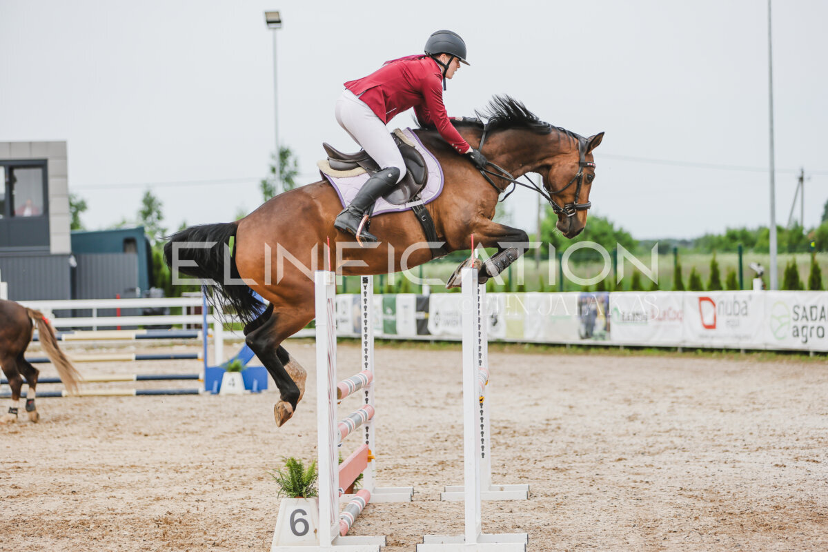 Gramina_Jaanipaev_2026_3p_hc80-90_167