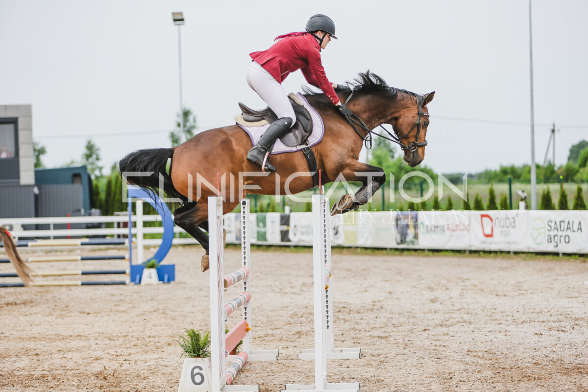Gramina_Jaanipaev_2026_3p_hc80-90_168