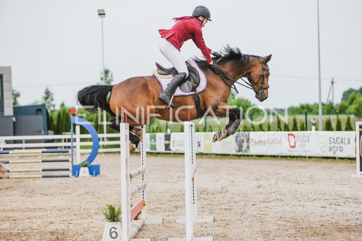 Gramina_Jaanipaev_2026_3p_hc80-90_169