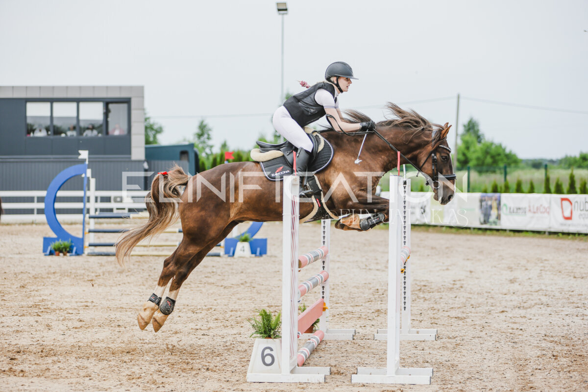 Gramina_Jaanipaev_2026_3p_hc80-90_180