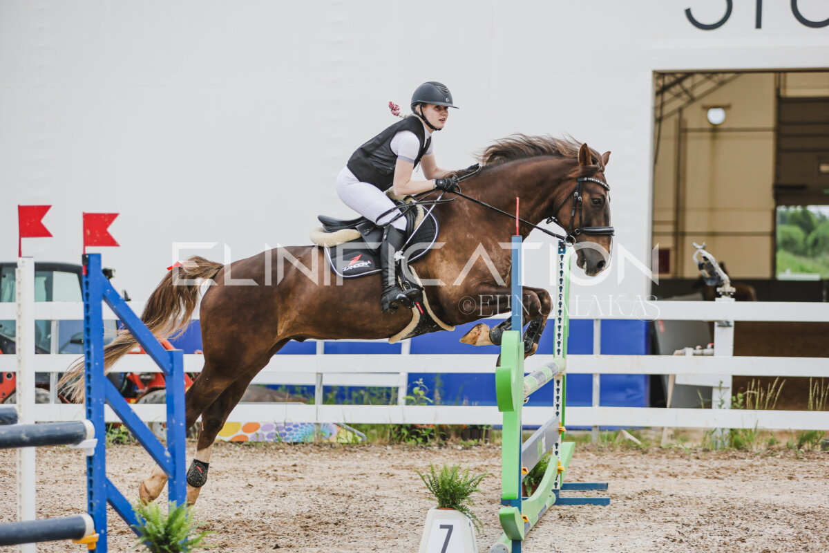 Gramina_Jaanipaev_2026_3p_hc80-90_184