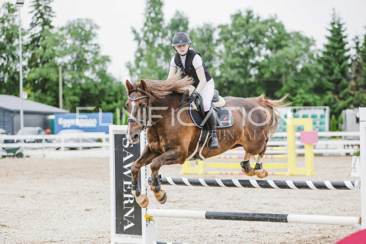 Gramina_Jaanipaev_2026_3p_hc80-90_195