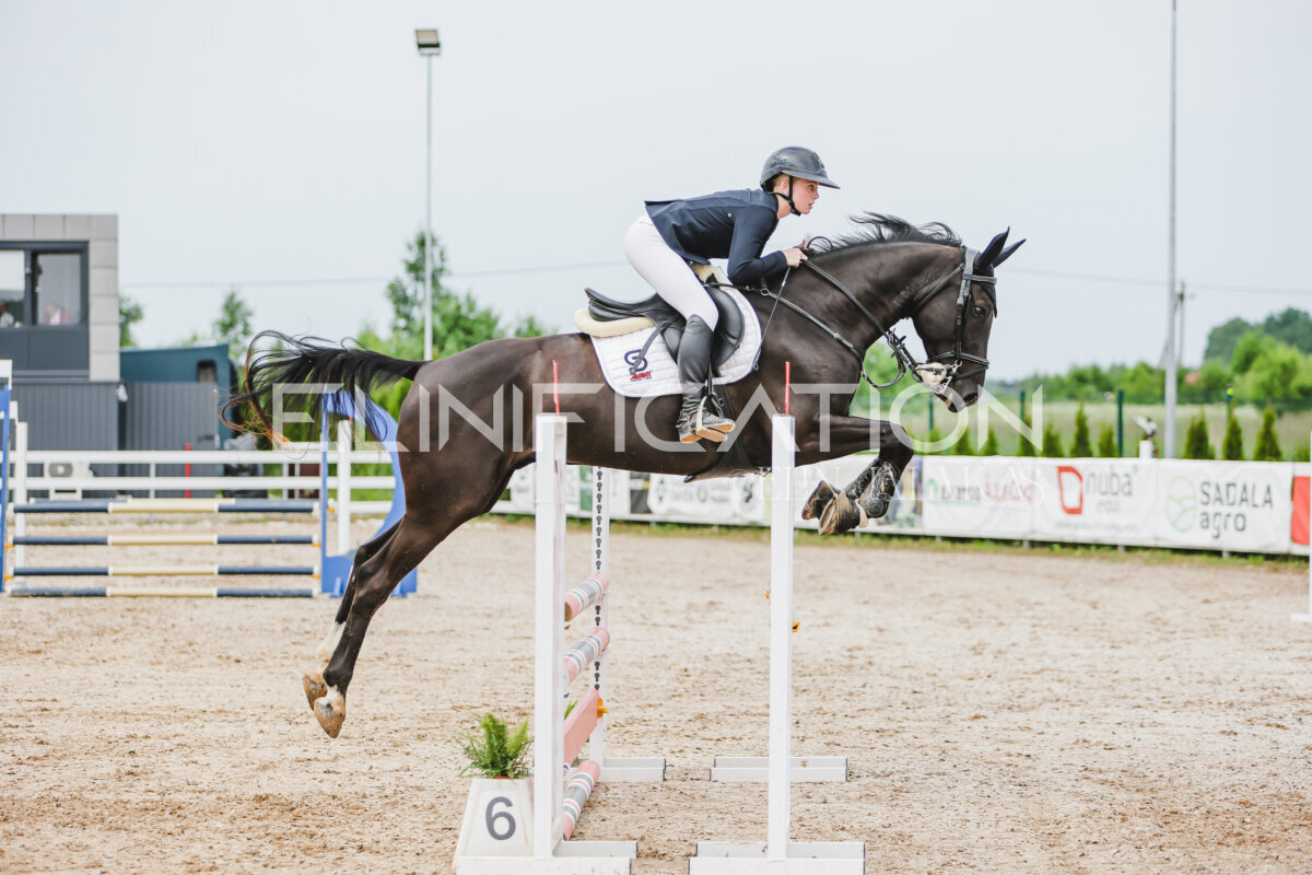 Gramina_Jaanipaev_2026_3p_hc80-90_210