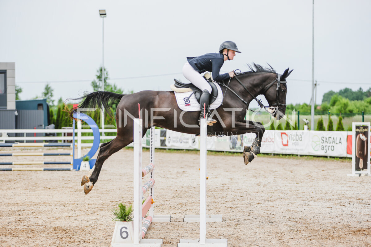 Gramina_Jaanipaev_2026_3p_hc80-90_211
