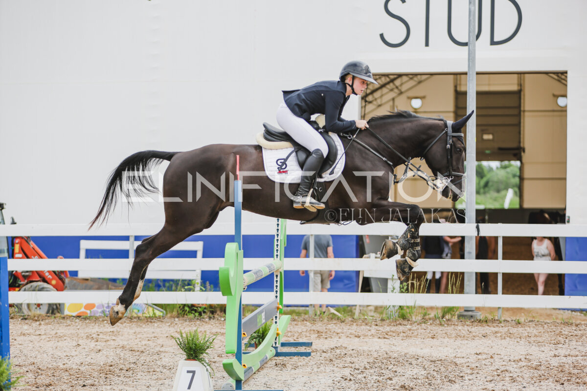 Gramina_Jaanipaev_2026_3p_hc80-90_215
