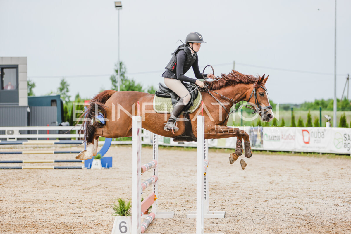 Gramina_Jaanipaev_2026_3p_hc80-90_226