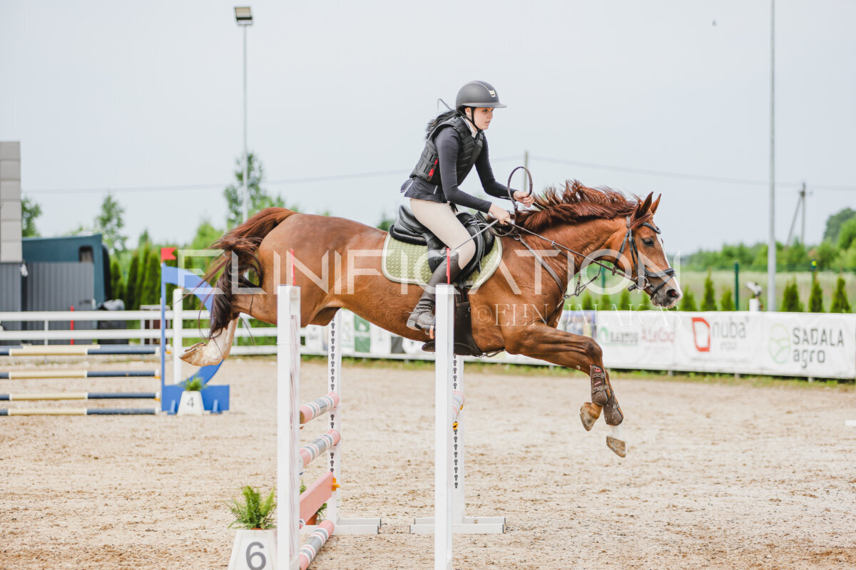 Gramina_Jaanipaev_2026_3p_hc80-90_227