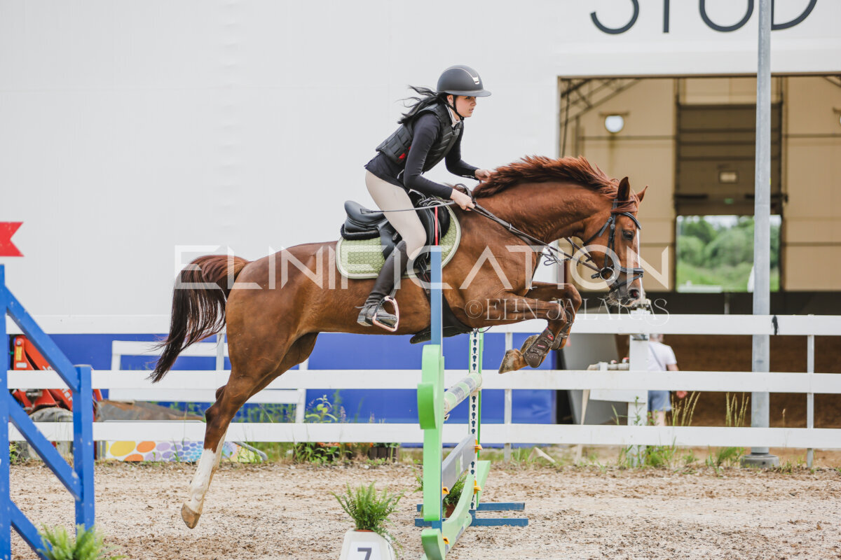 Gramina_Jaanipaev_2026_3p_hc80-90_228