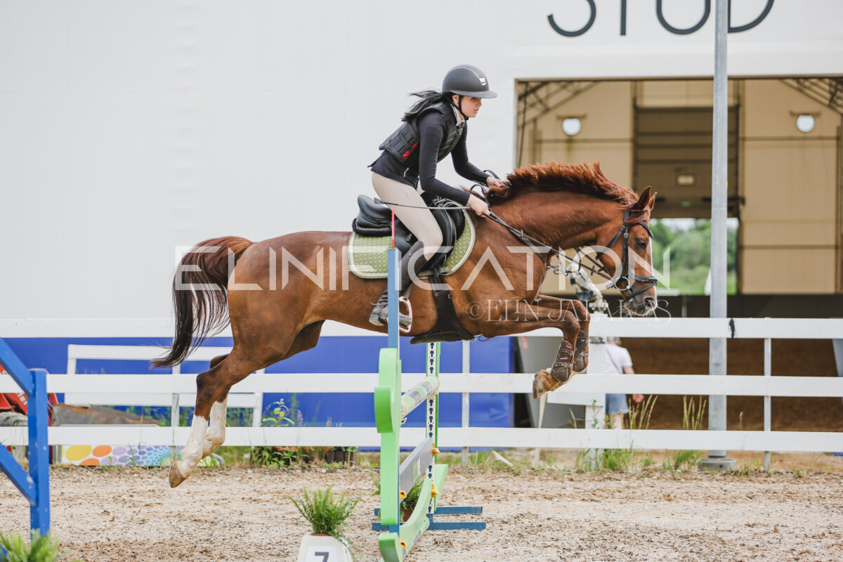 Gramina_Jaanipaev_2026_3p_hc80-90_229