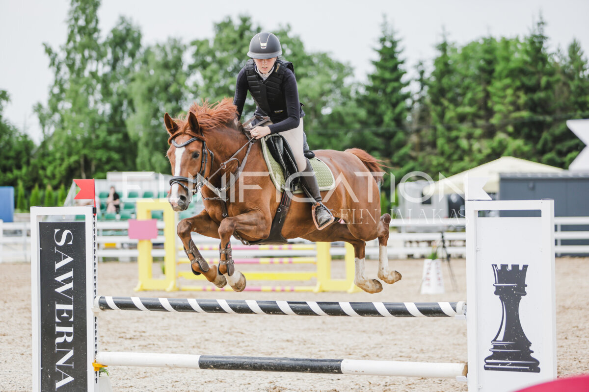 Gramina_Jaanipaev_2026_3p_hc80-90_235