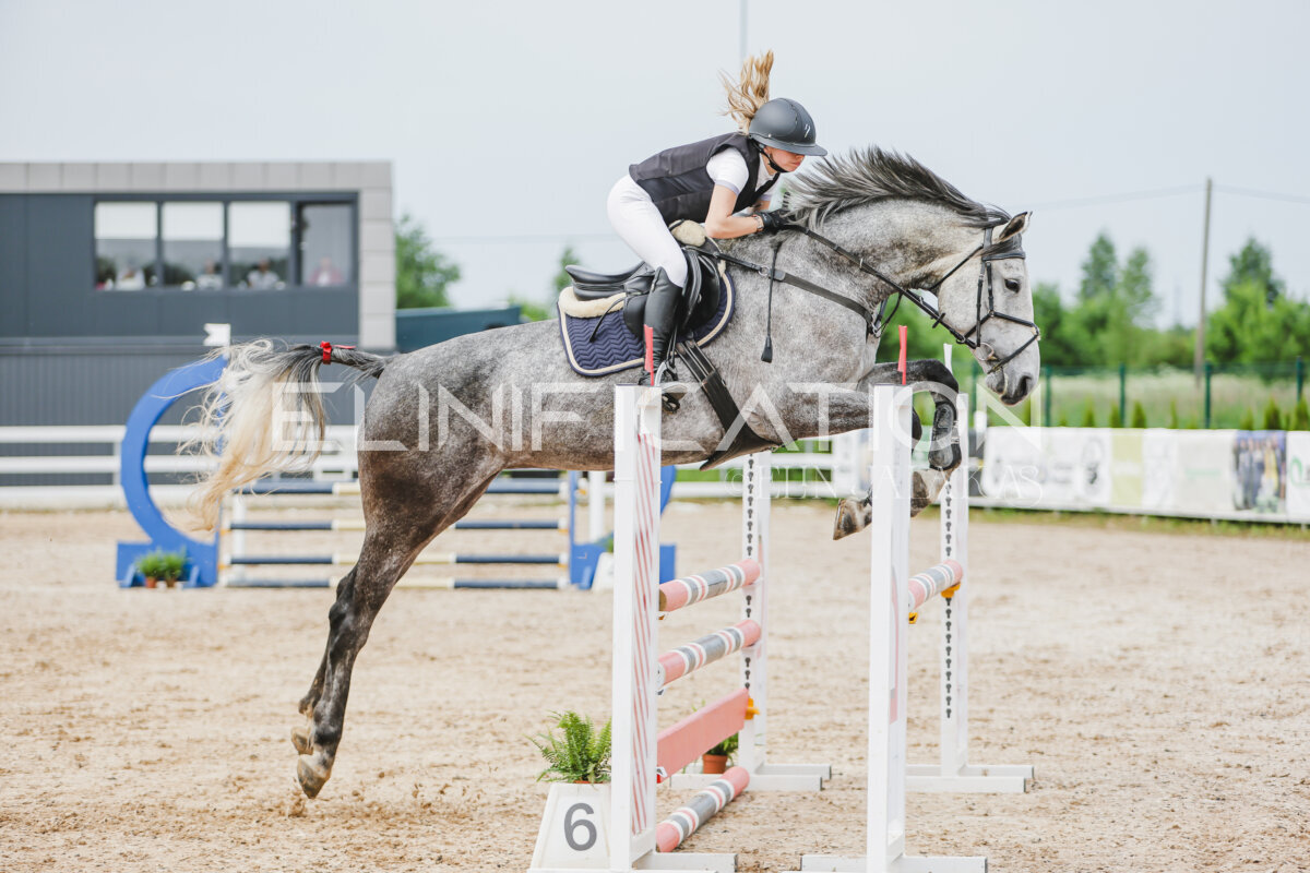 Gramina_Jaanipaev_2026_3p_hc80-90_240