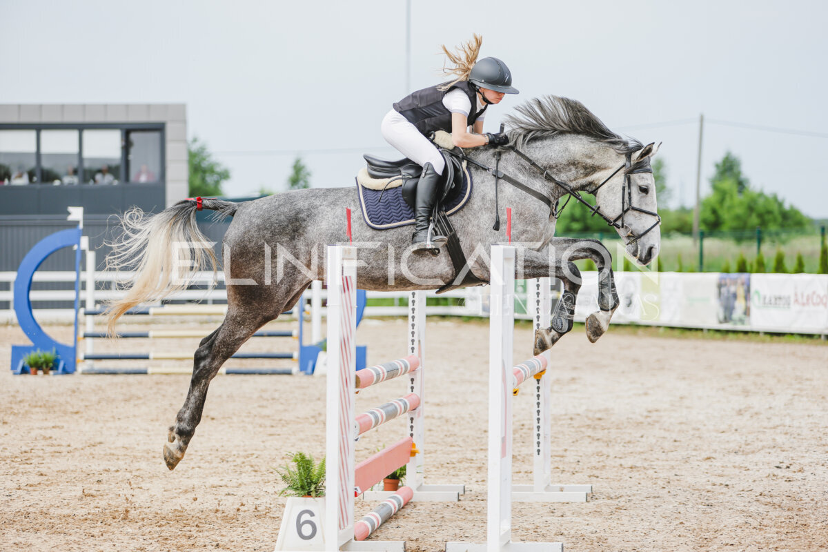 Gramina_Jaanipaev_2026_3p_hc80-90_241