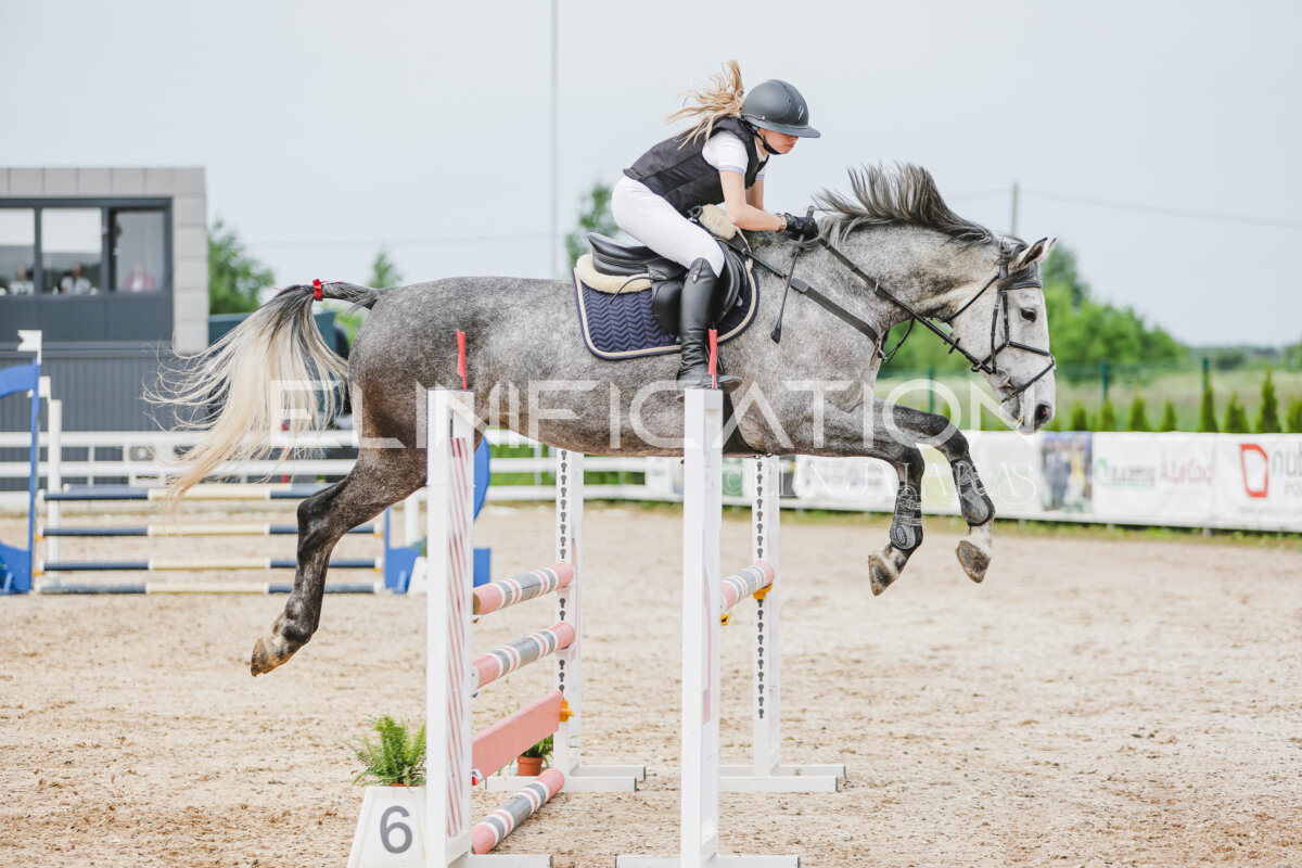 Gramina_Jaanipaev_2026_3p_hc80-90_242