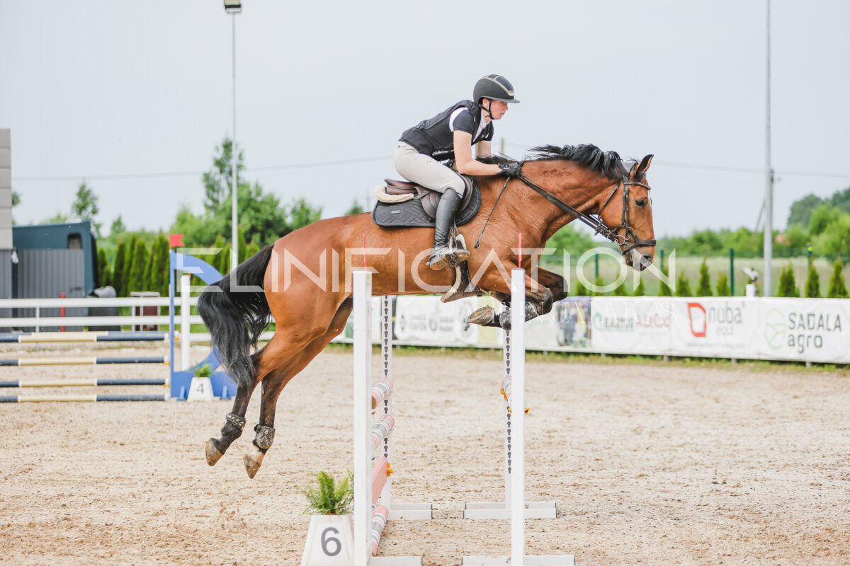 Gramina_Jaanipaev_2026_3p_hc80-90_250