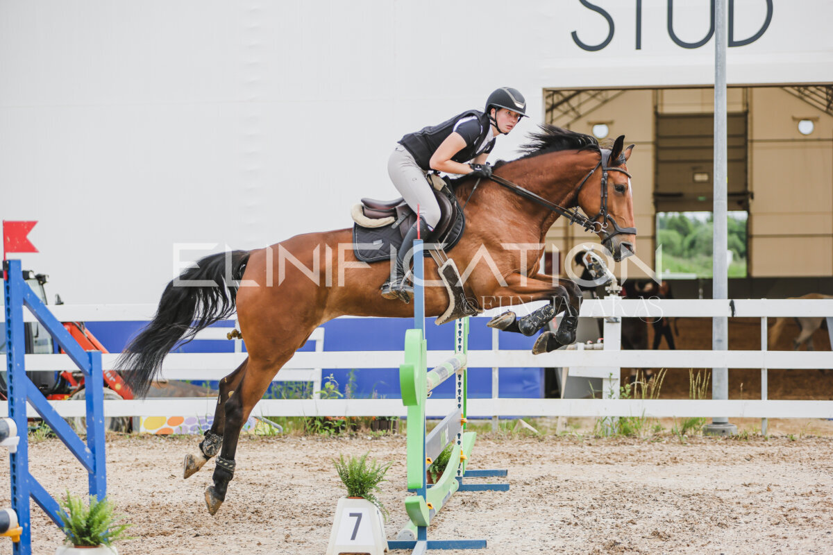 Gramina_Jaanipaev_2026_3p_hc80-90_254