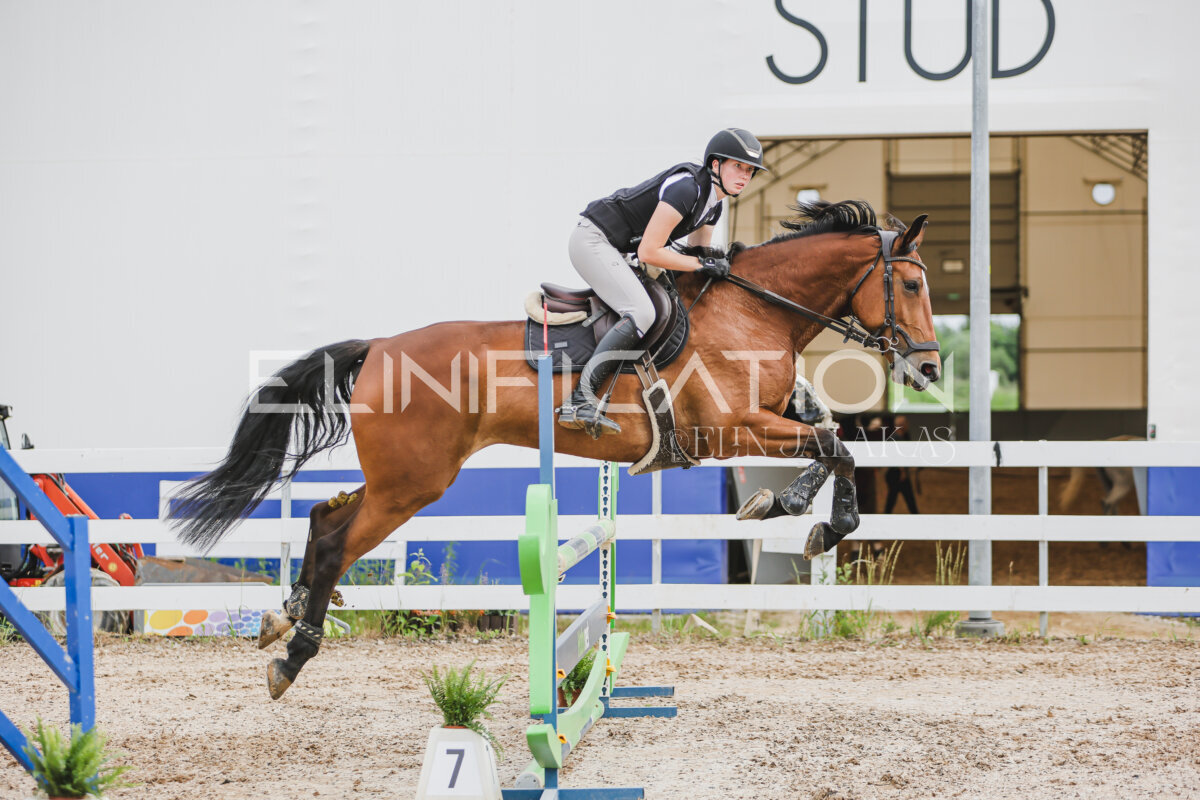 Gramina_Jaanipaev_2026_3p_hc80-90_255