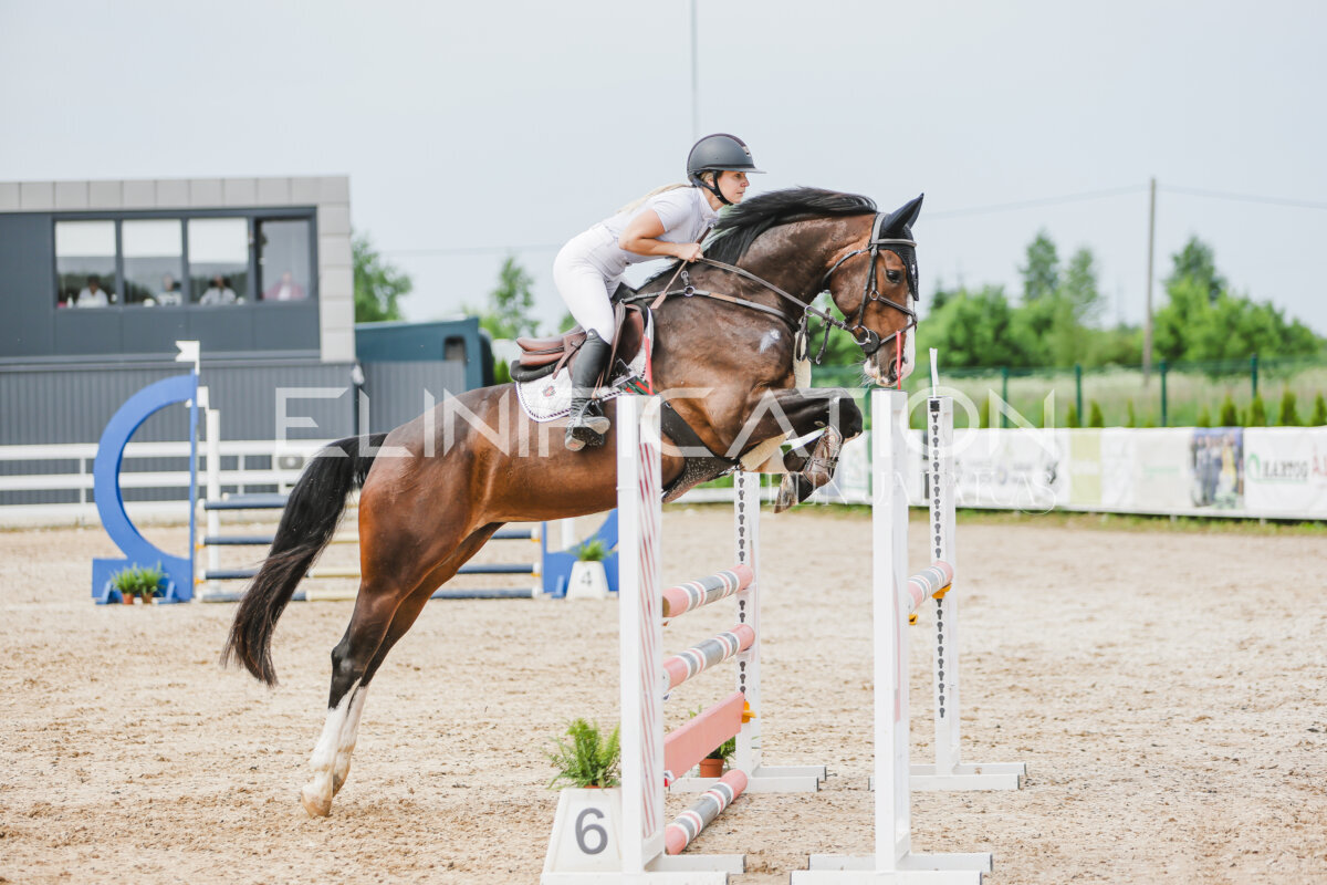 Gramina_Jaanipaev_2026_3p_hc80-90_266