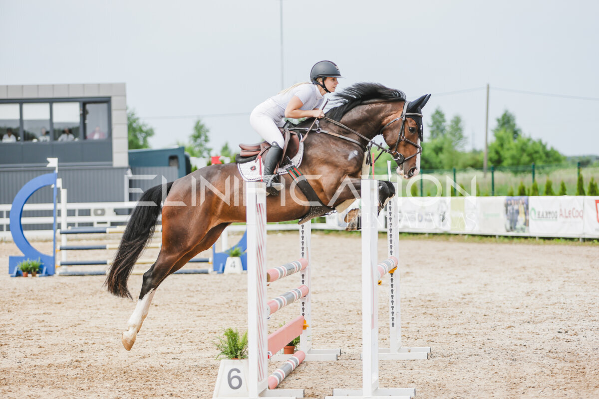 Gramina_Jaanipaev_2026_3p_hc80-90_267