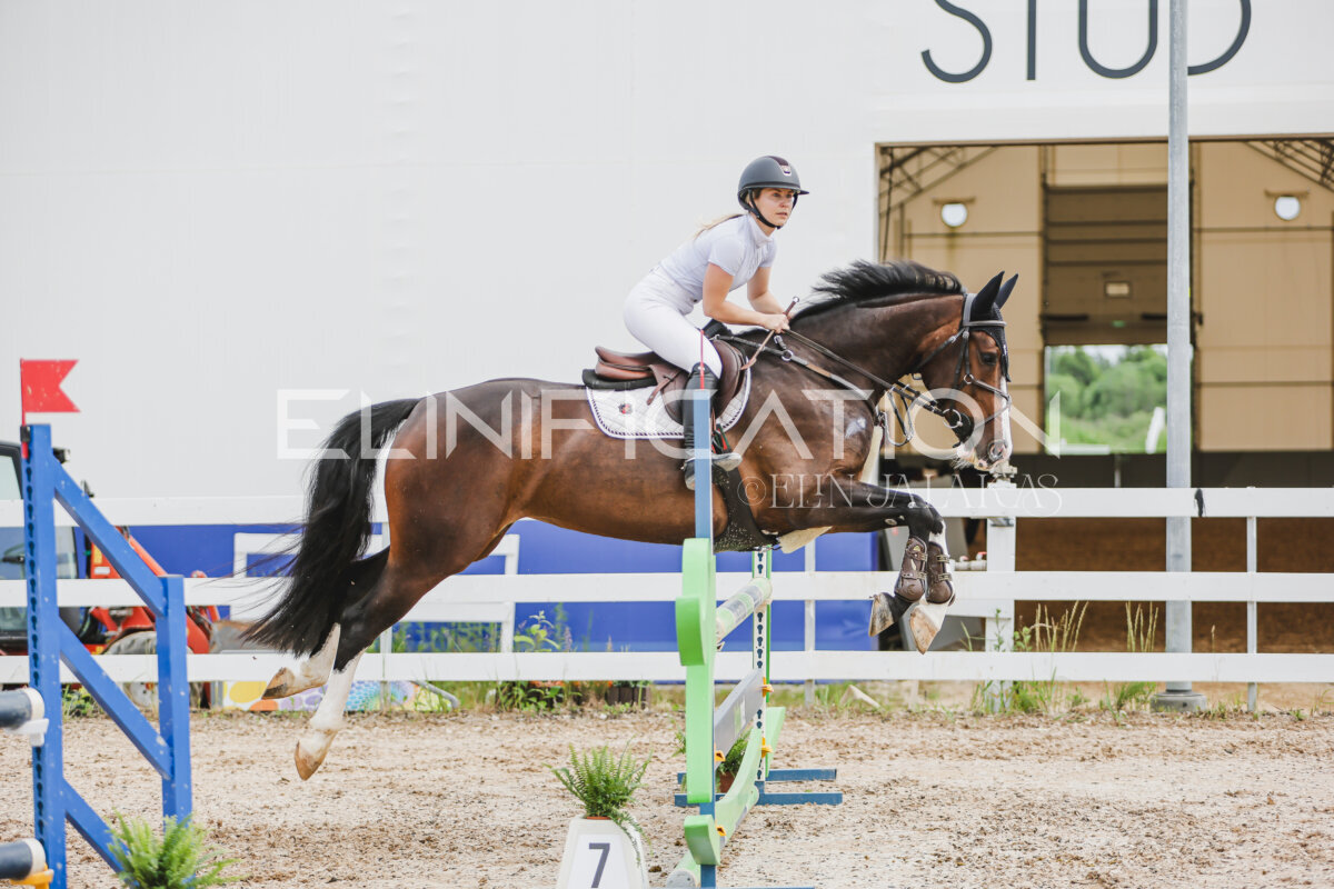 Gramina_Jaanipaev_2026_3p_hc80-90_270