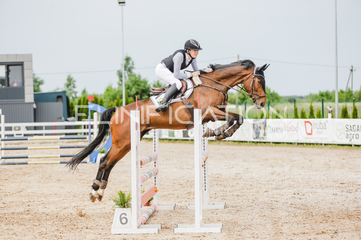 Gramina_Jaanipaev_2026_3p_hc80-90_278