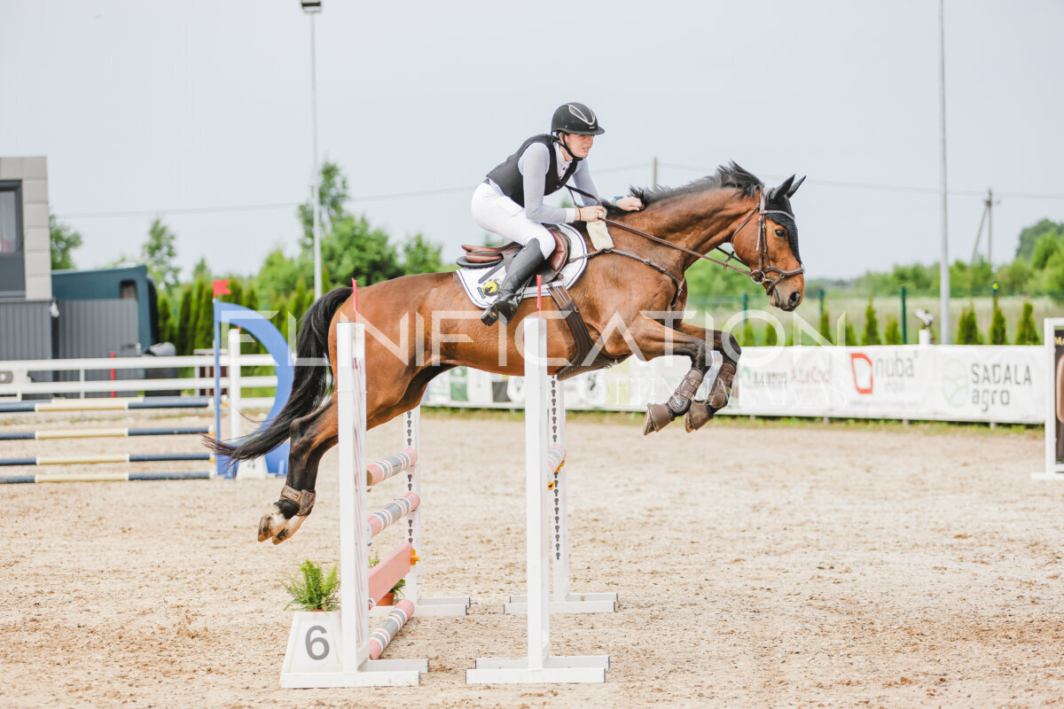 Gramina_Jaanipaev_2026_3p_hc80-90_279