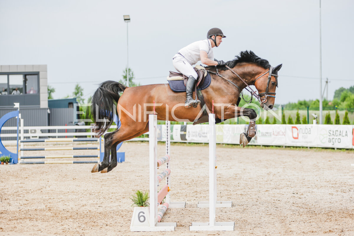 Gramina_Jaanipaev_2026_3p_hc80-90_288