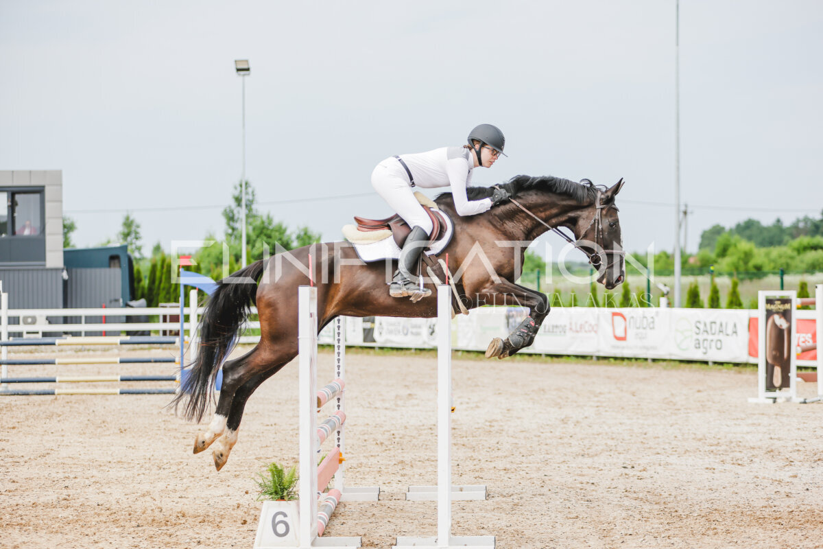 Gramina_Jaanipaev_2026_3p_hc80-90_295