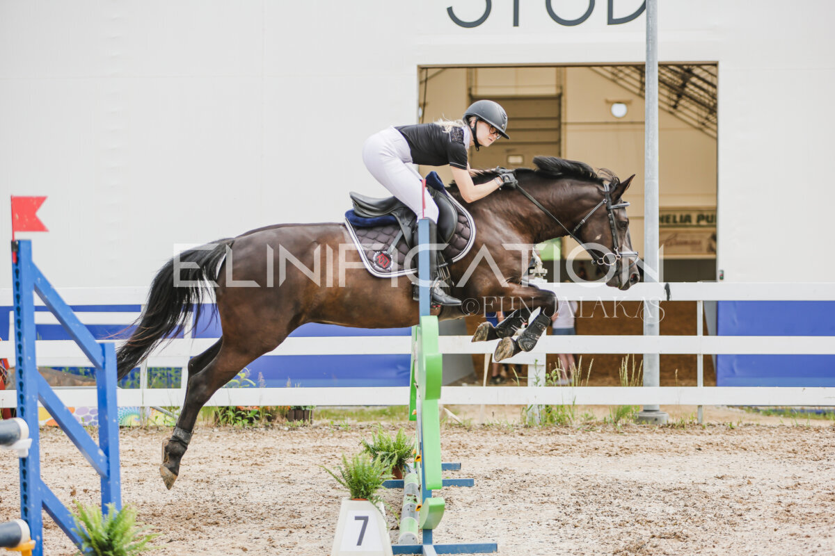 Gramina_Jaanipaev_2026_3p_hc80-90_306