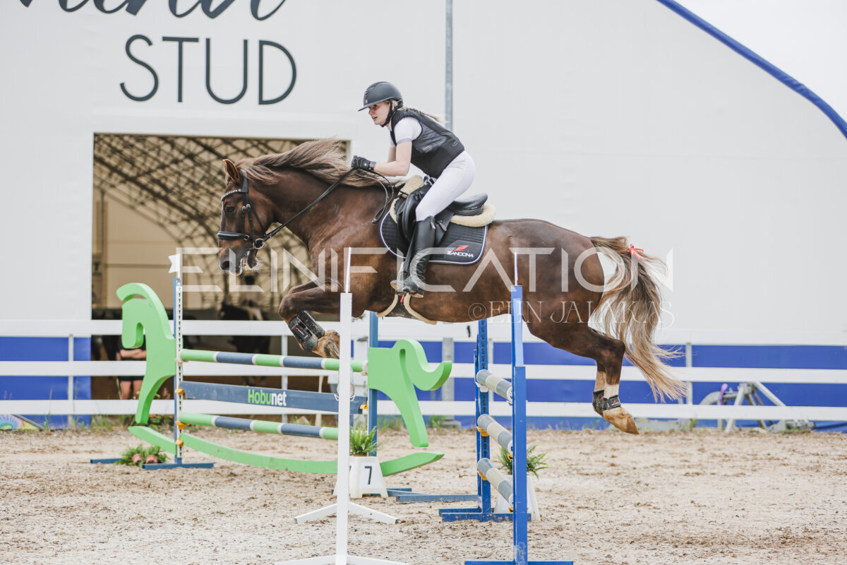 Gramina_Jaanipaev_2026_3p_105_108
