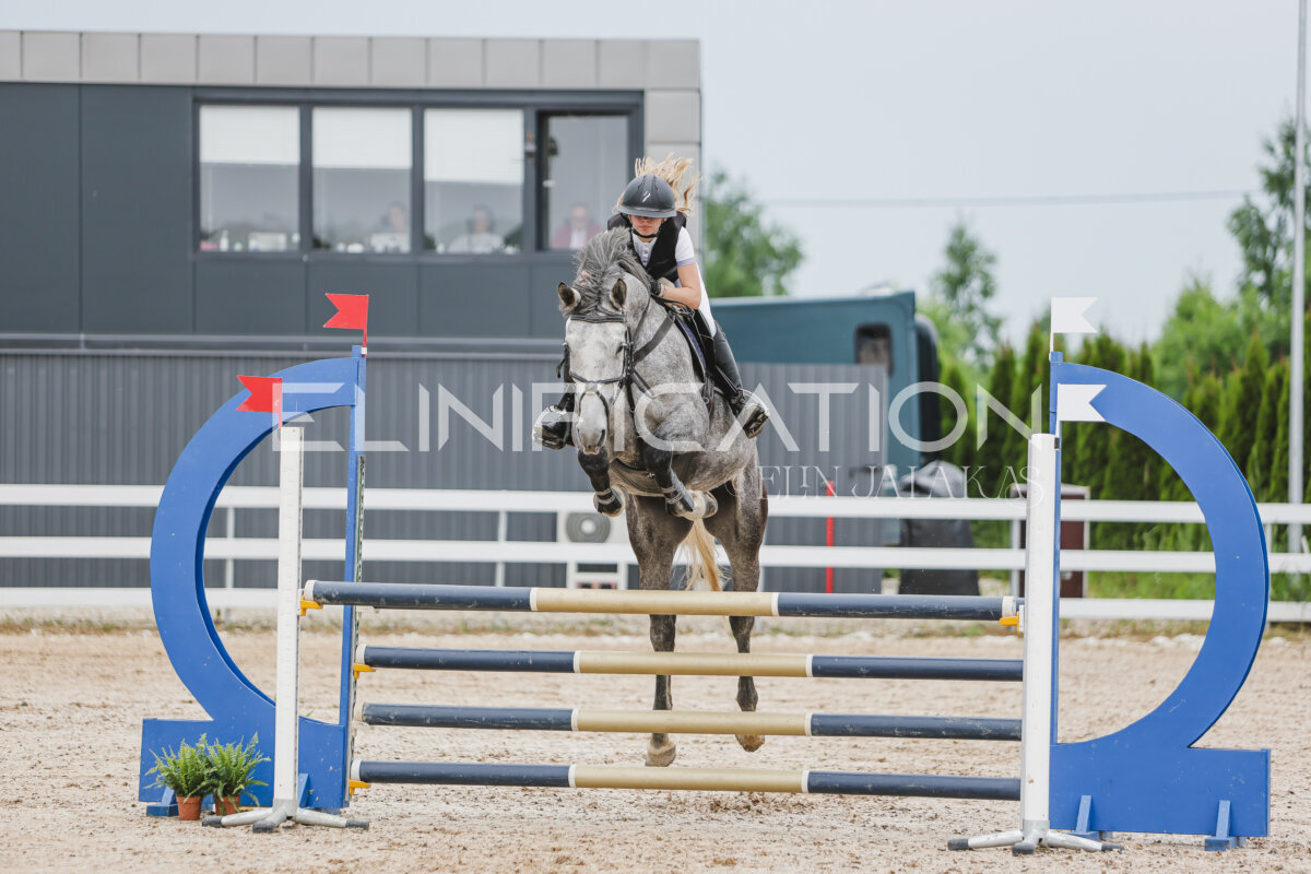 Gramina_Jaanipaev_2026_3p_105_109