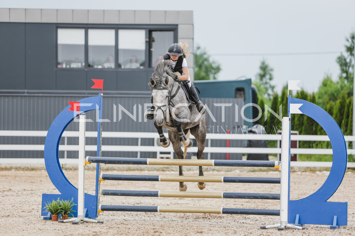 Gramina_Jaanipaev_2026_3p_105_110