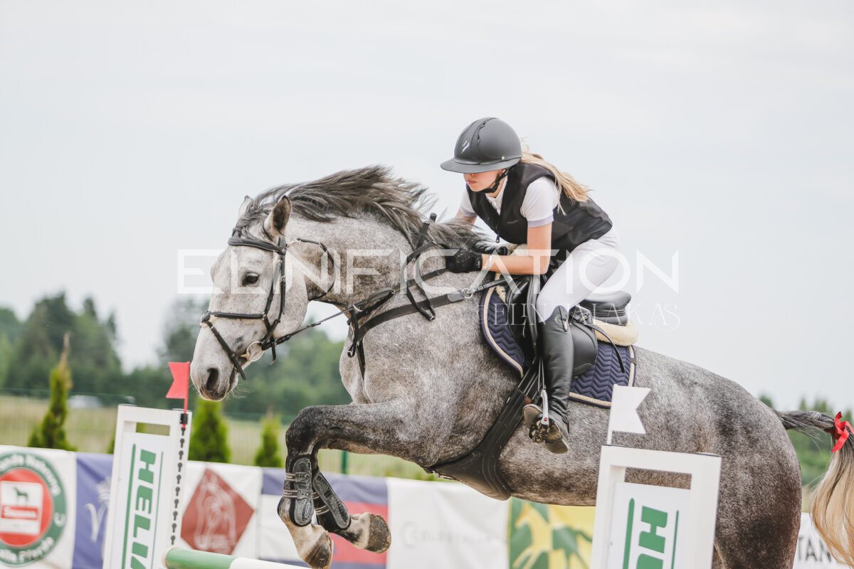 Gramina_Jaanipaev_2026_3p_105_111