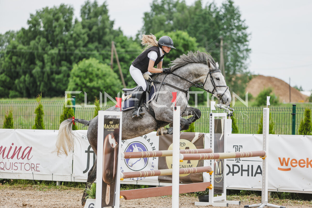 Gramina_Jaanipaev_2026_3p_105_112