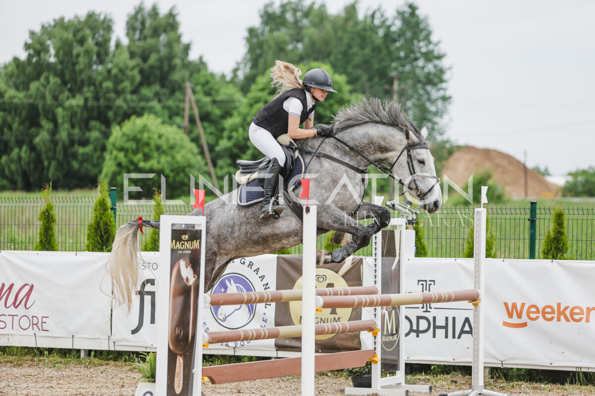 Gramina_Jaanipaev_2026_3p_105_113