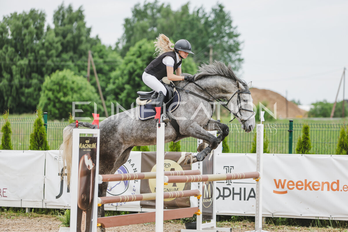 Gramina_Jaanipaev_2026_3p_105_114