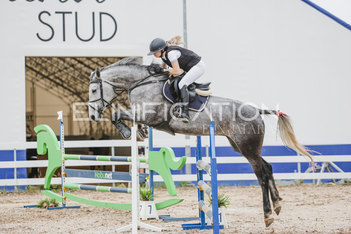 Gramina_Jaanipaev_2026_3p_105_119