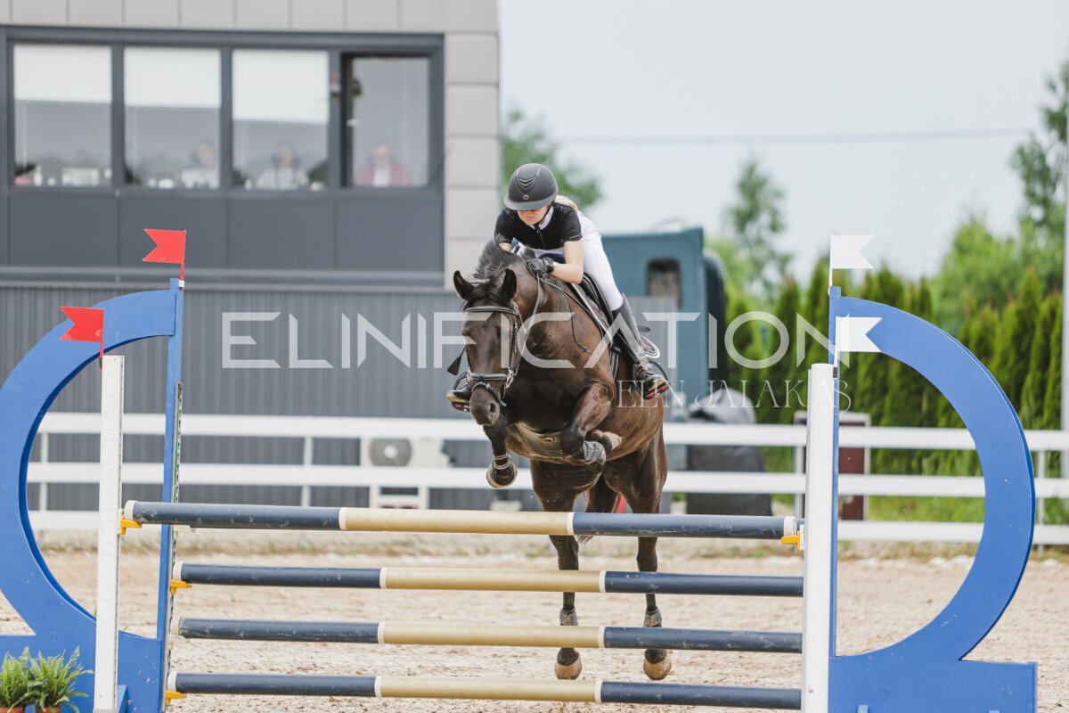 Gramina_Jaanipaev_2026_3p_105_121
